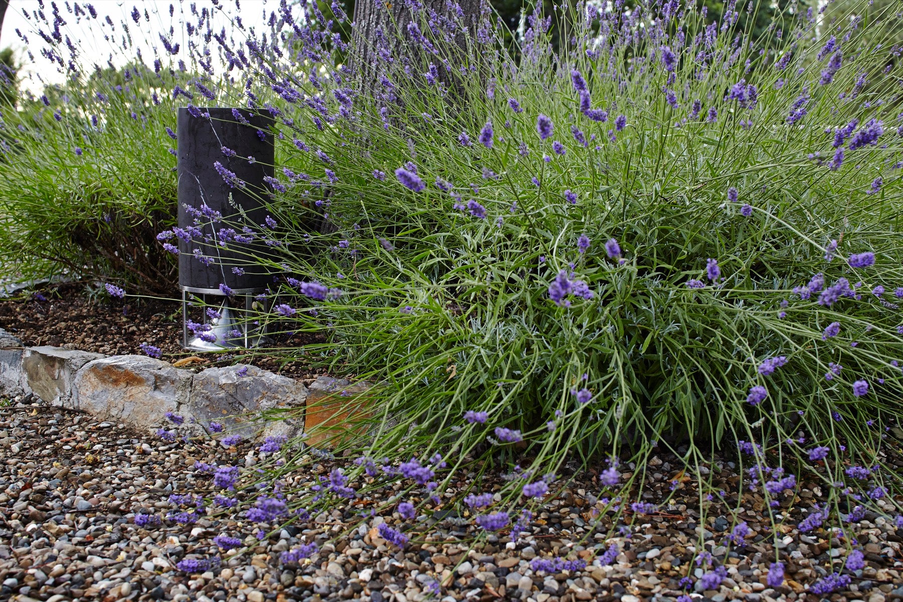 Architettura Sonora Tall Cylinder