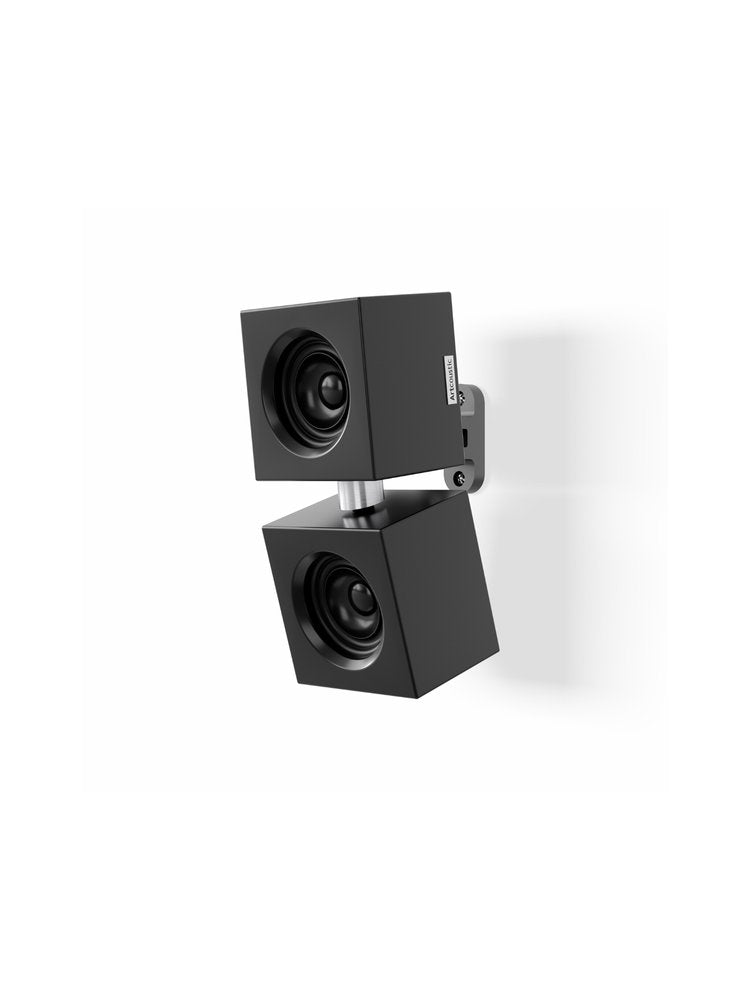 Artcoustic SL-Evolve-1-Array