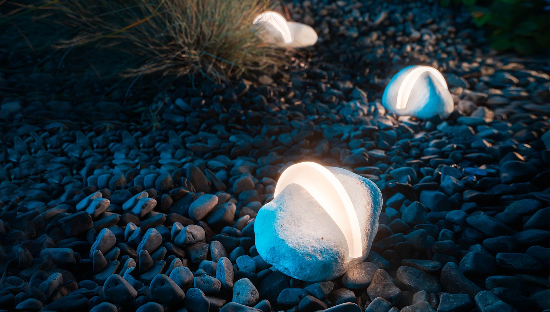 Essenze di Luce Ray