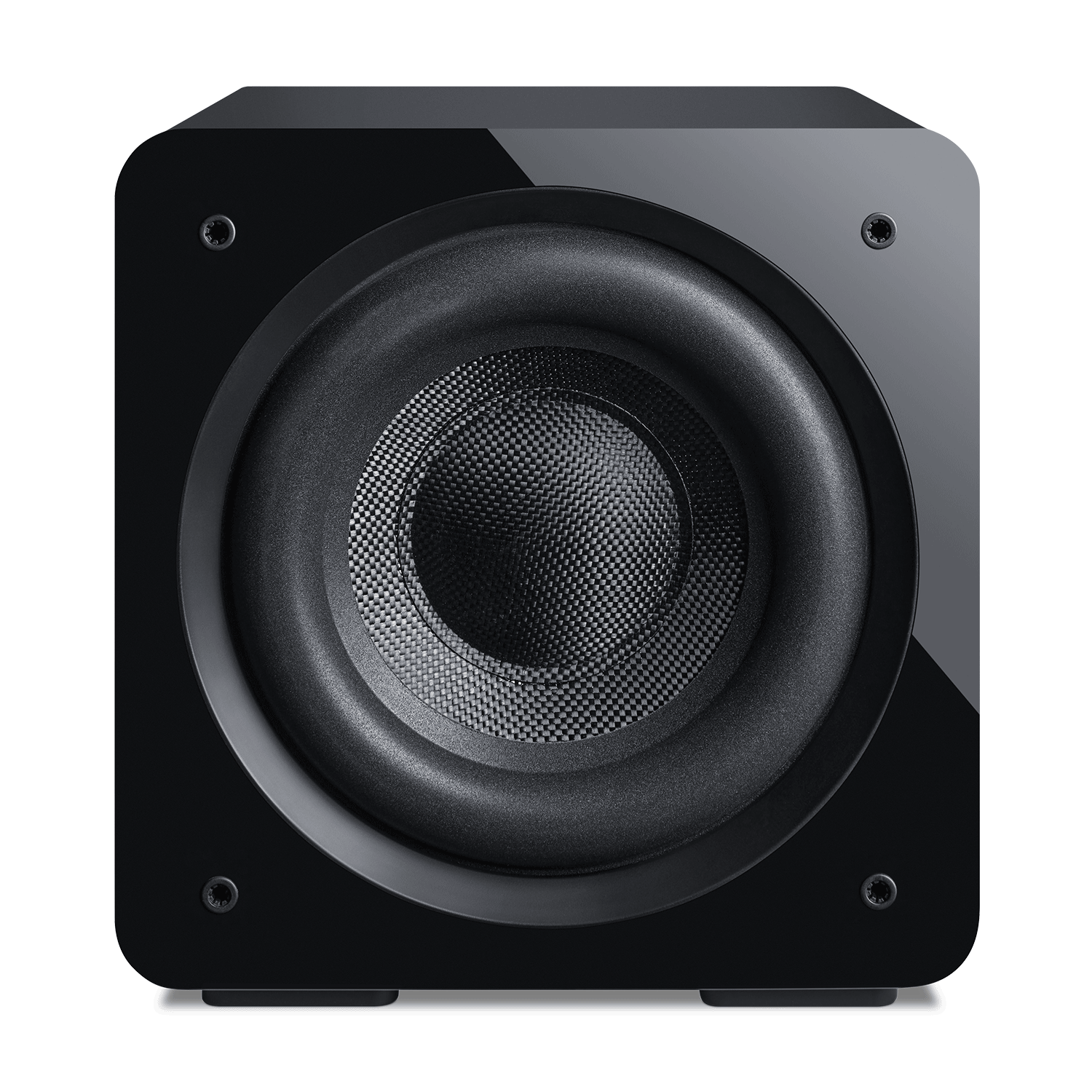 Proficient Audio FRS-10