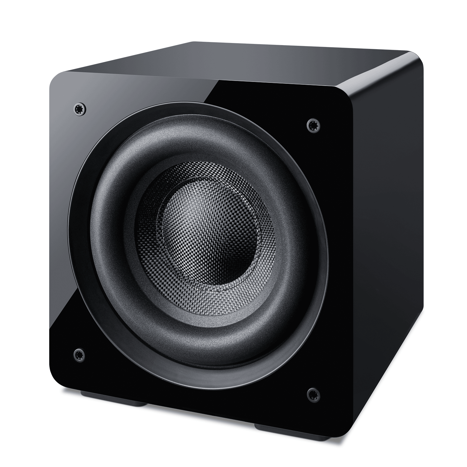 Proficient Audio FRS-10