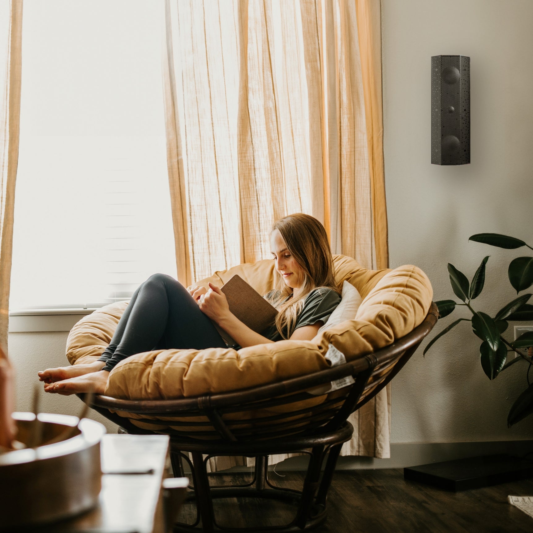 Lithe Audio iO1 Indoor Speaker - Active