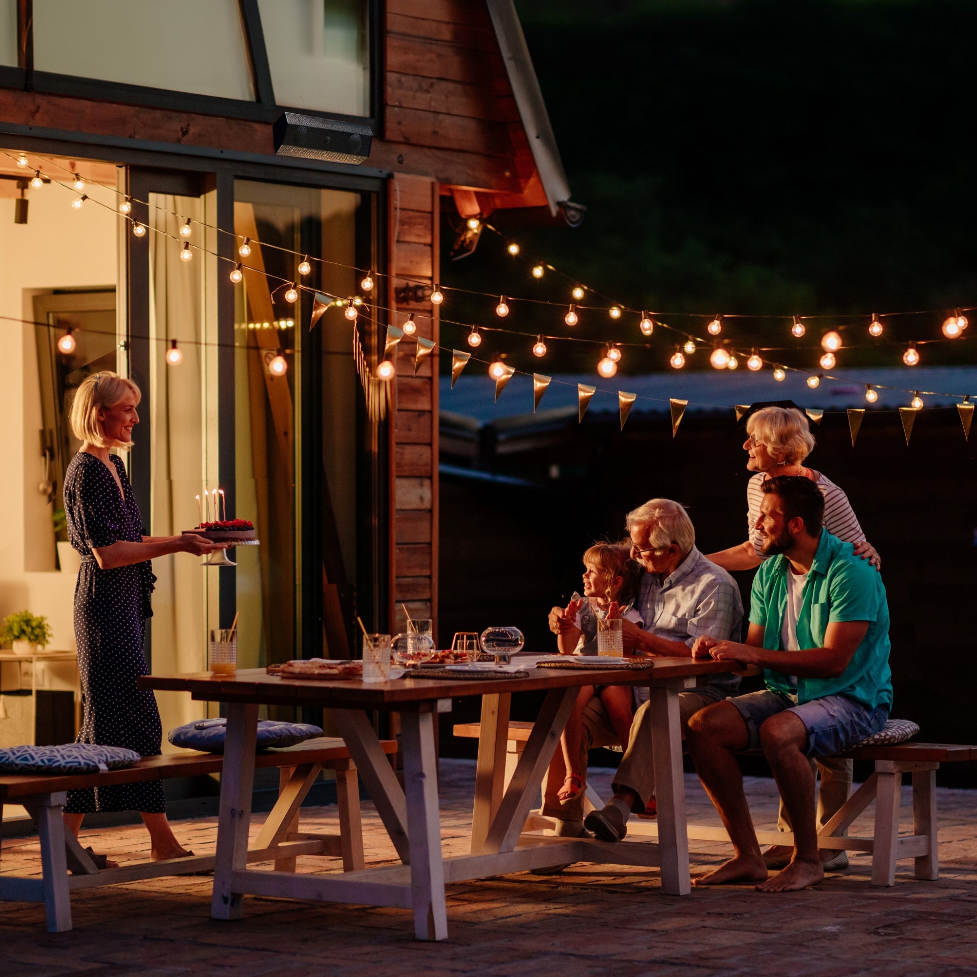 Lithe Audio iO1 Indoor & Outdoor Speaker - Passive