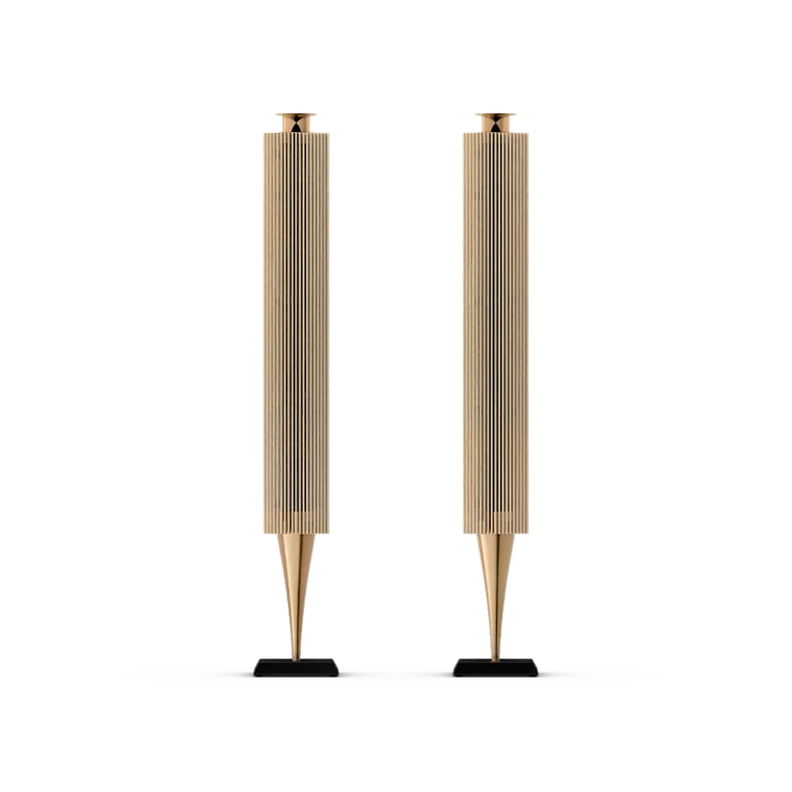 Bang & Olufsen BeoLab 18