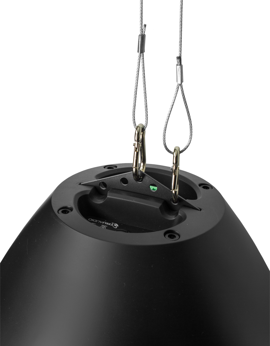 TruAudio BD‑8WT BeatDrop™ 8″ Pendant Speaker