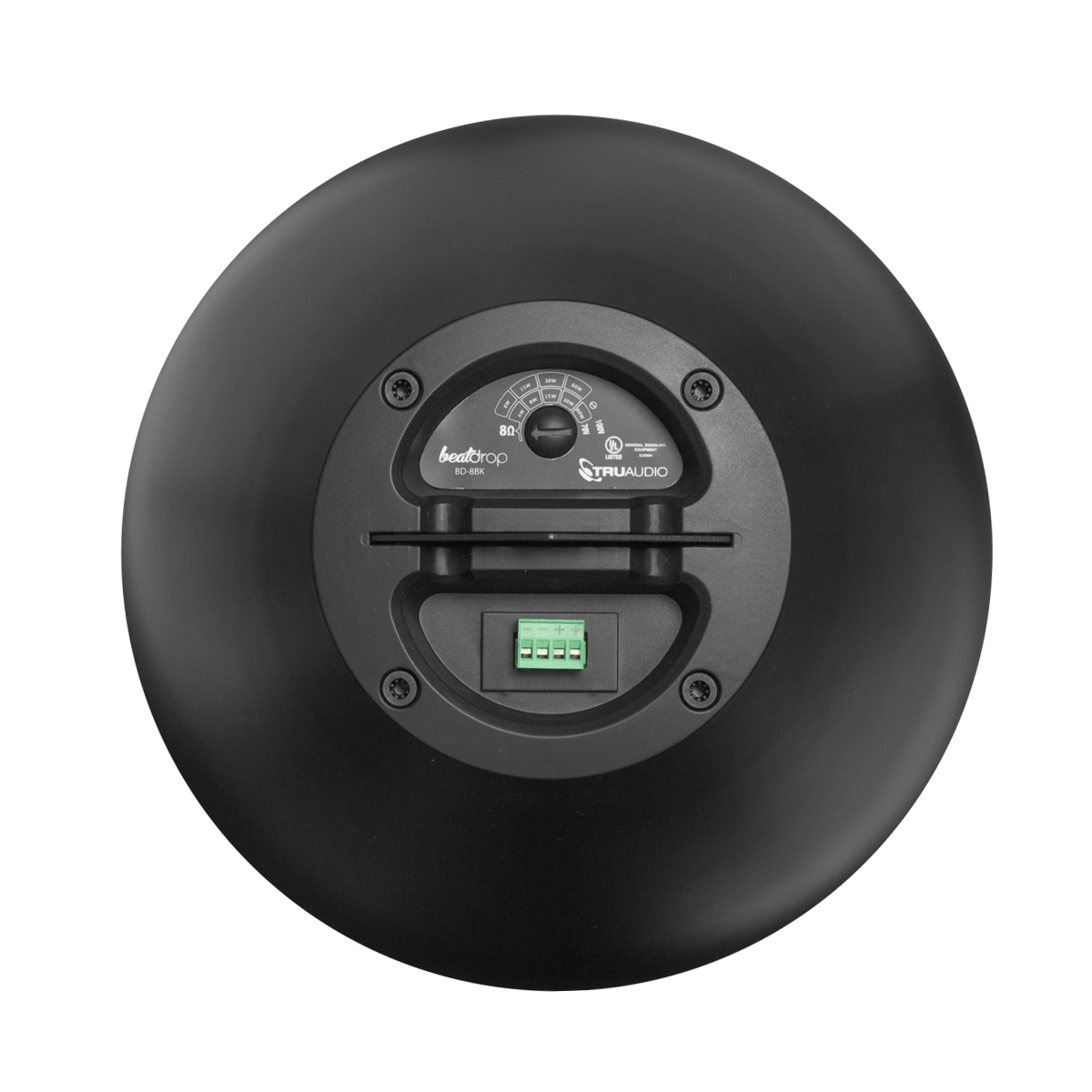 TruAudio BD‑8WT BeatDrop™ 8″ Pendant Speaker