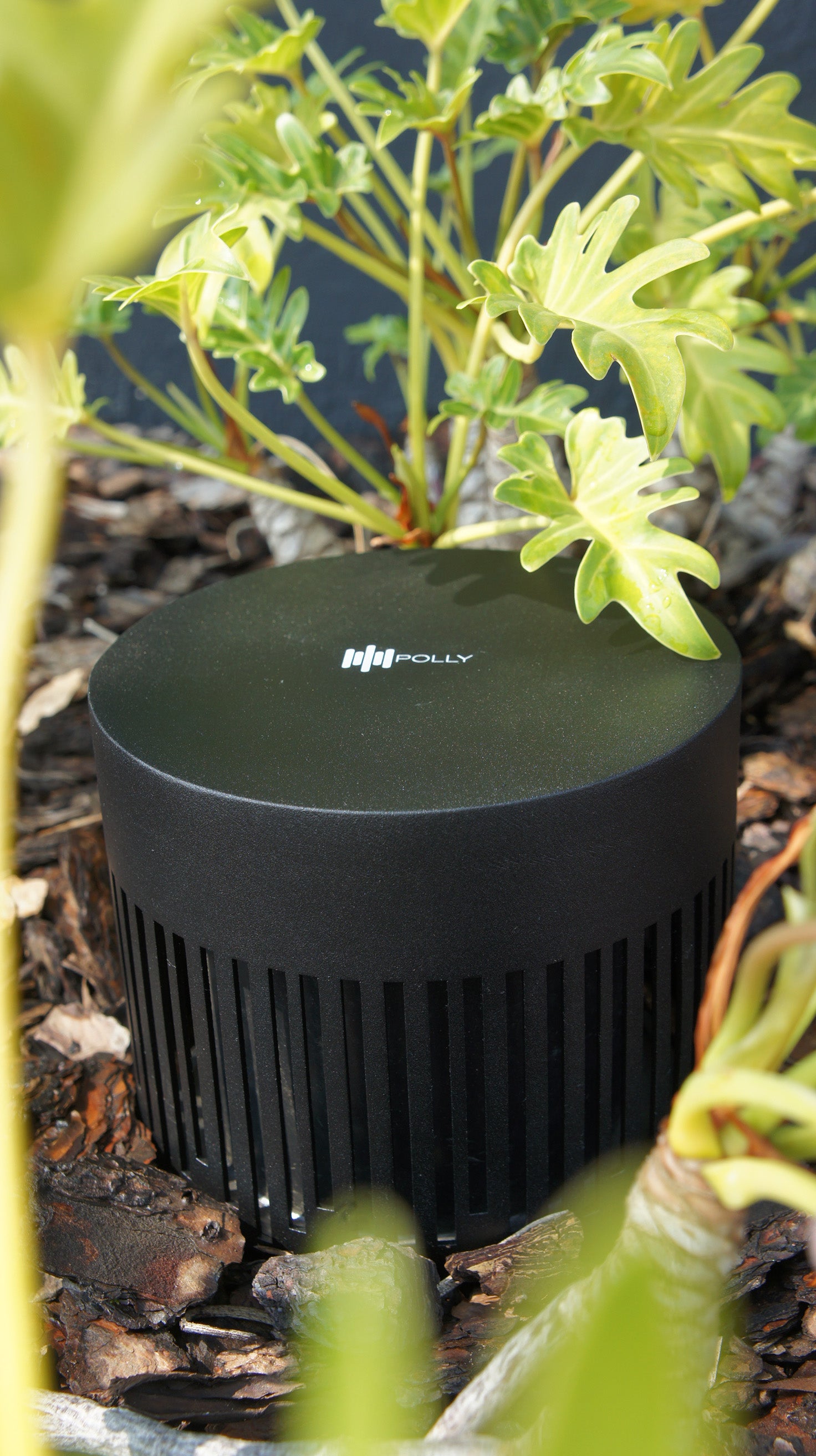 Magna Audio Polly Backyard Essential Kit 4"
