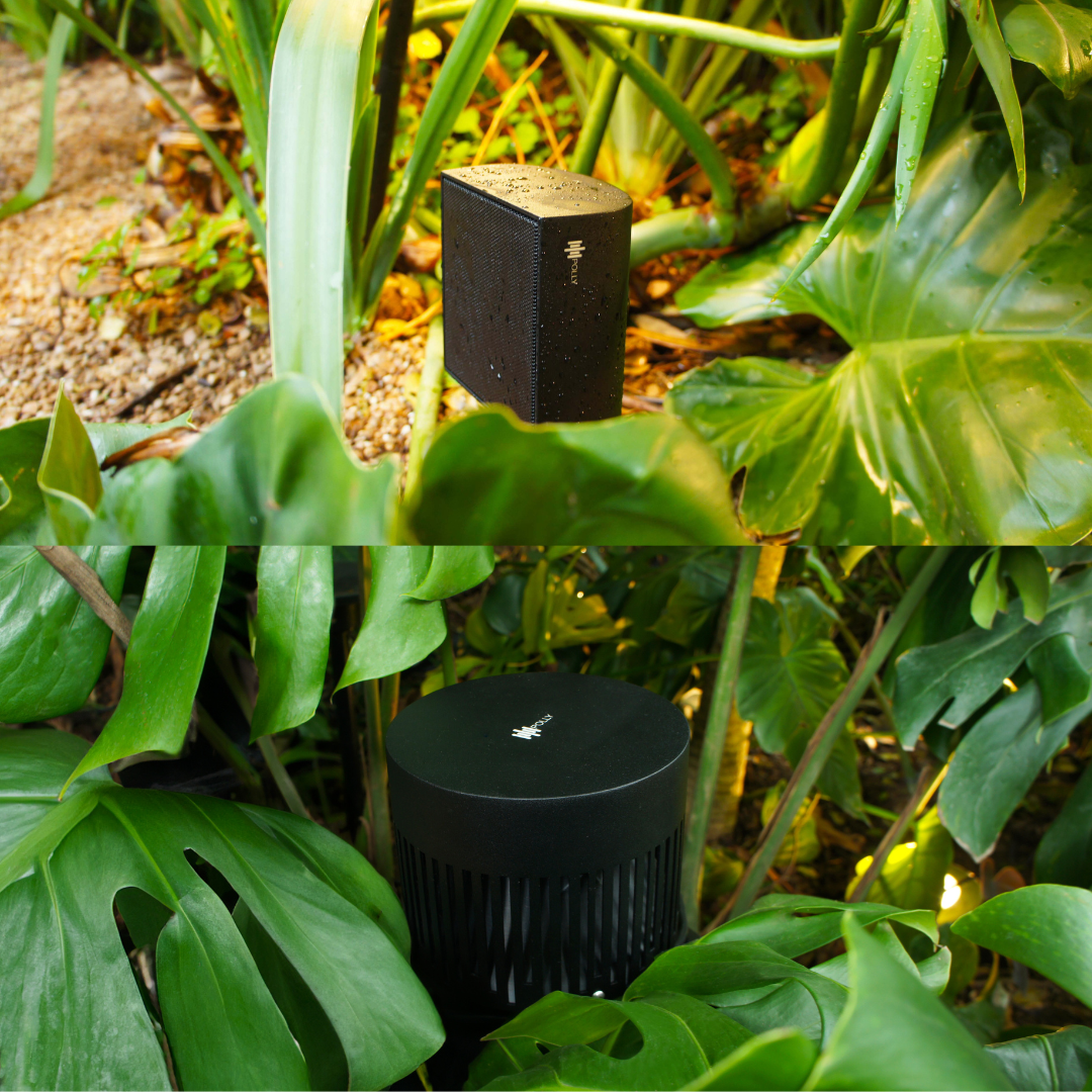 Magna Audio Polly Backyard Essential Kit 4"