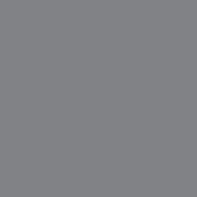Screen Innovations Ecran Proiector SLATE