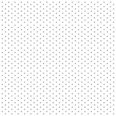 Screen Innovations Ecran Proiector PW AT