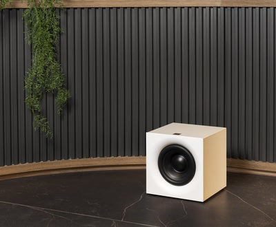 Magna Audio Designed Subwoofer 10