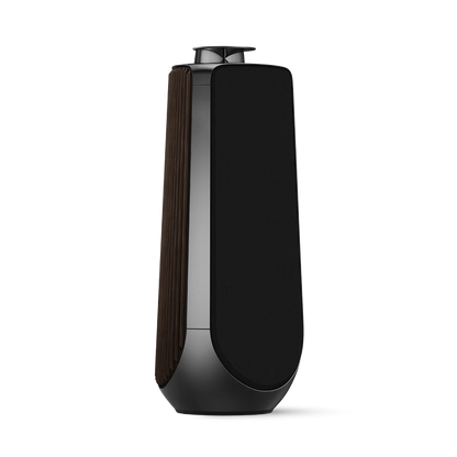 Bang & Olufsen BeoLab 50