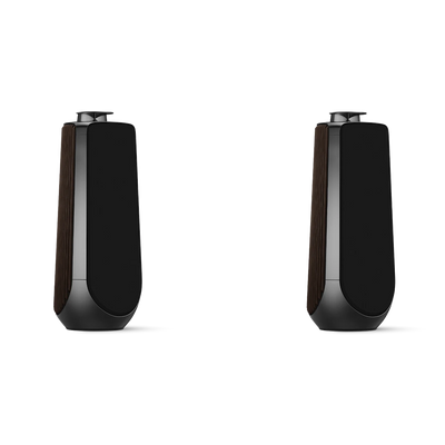 Bang & Olufsen BeoLab 50