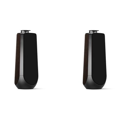 Bang & Olufsen BeoLab 50