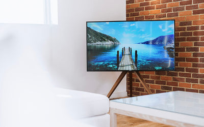 Future Automation TV Floor Mount EASEL