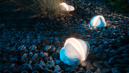 Essenze di Luce Ray