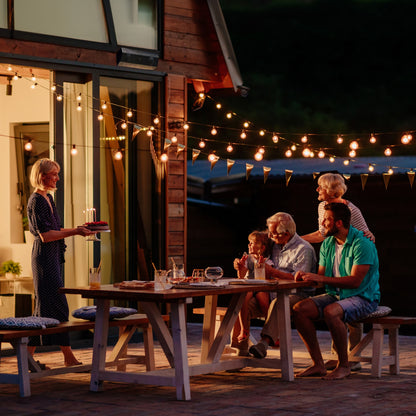 Lithe Audio iO1 Indoor & Outdoor Speaker - Passive