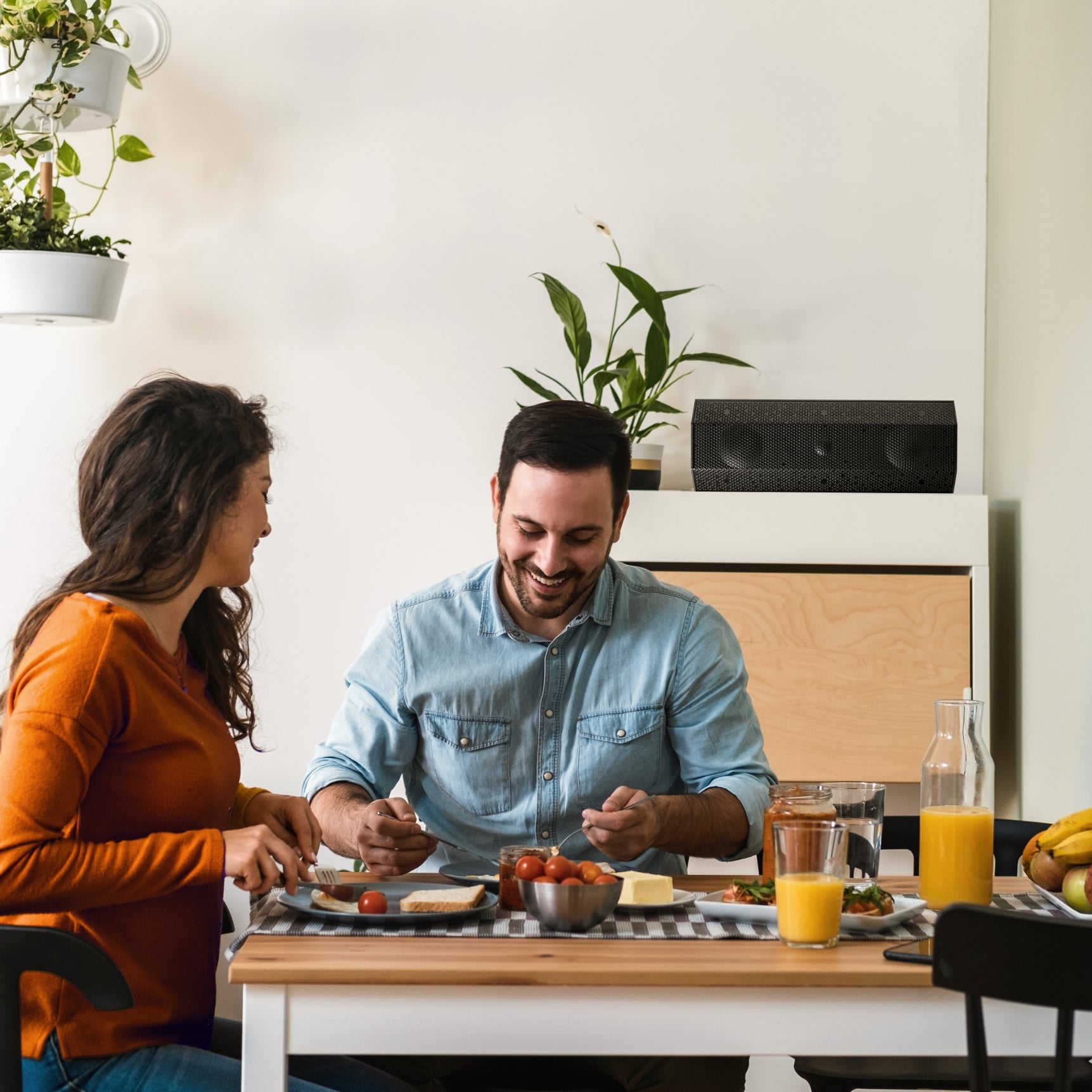 Lithe Audio iO1 Indoor & Outdoor Speaker - Passive