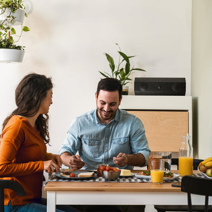 Lithe Audio iO1 Indoor & Outdoor Speaker - Passive