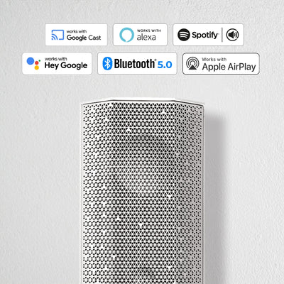 Lithe Audio Boxă WiFi Bluetooth iO1 pentru exterior (Activă)