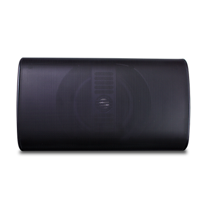 TruAudio OP6 Outdoor Wall Speaker