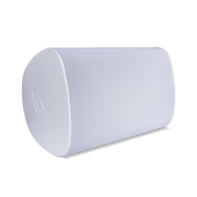 TruAudio OP6 Outdoor Wall Speaker