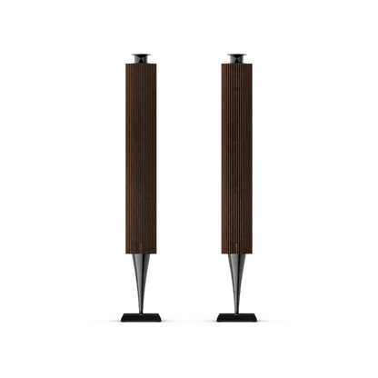 Bang & Olufsen BeoLab 18