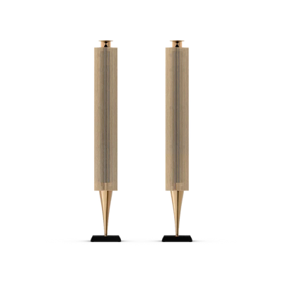 Bang & Olufsen BeoLab 18