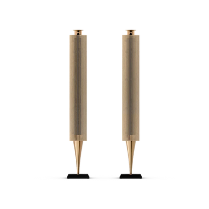 Bang & Olufsen BeoLab 18