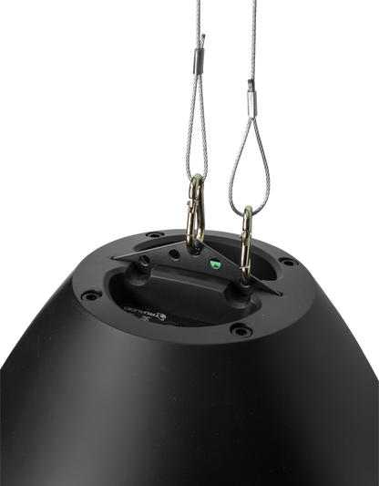 TruAudio BD‑8WT BeatDrop™ 8″ Pendant Speaker