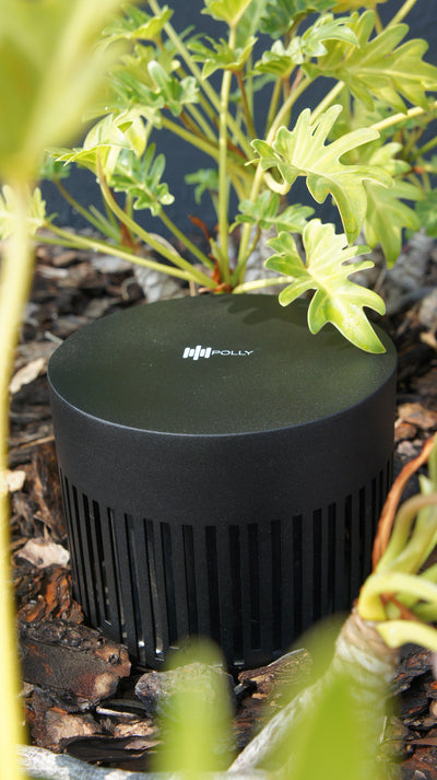 Magna Audio Polly Sub 8