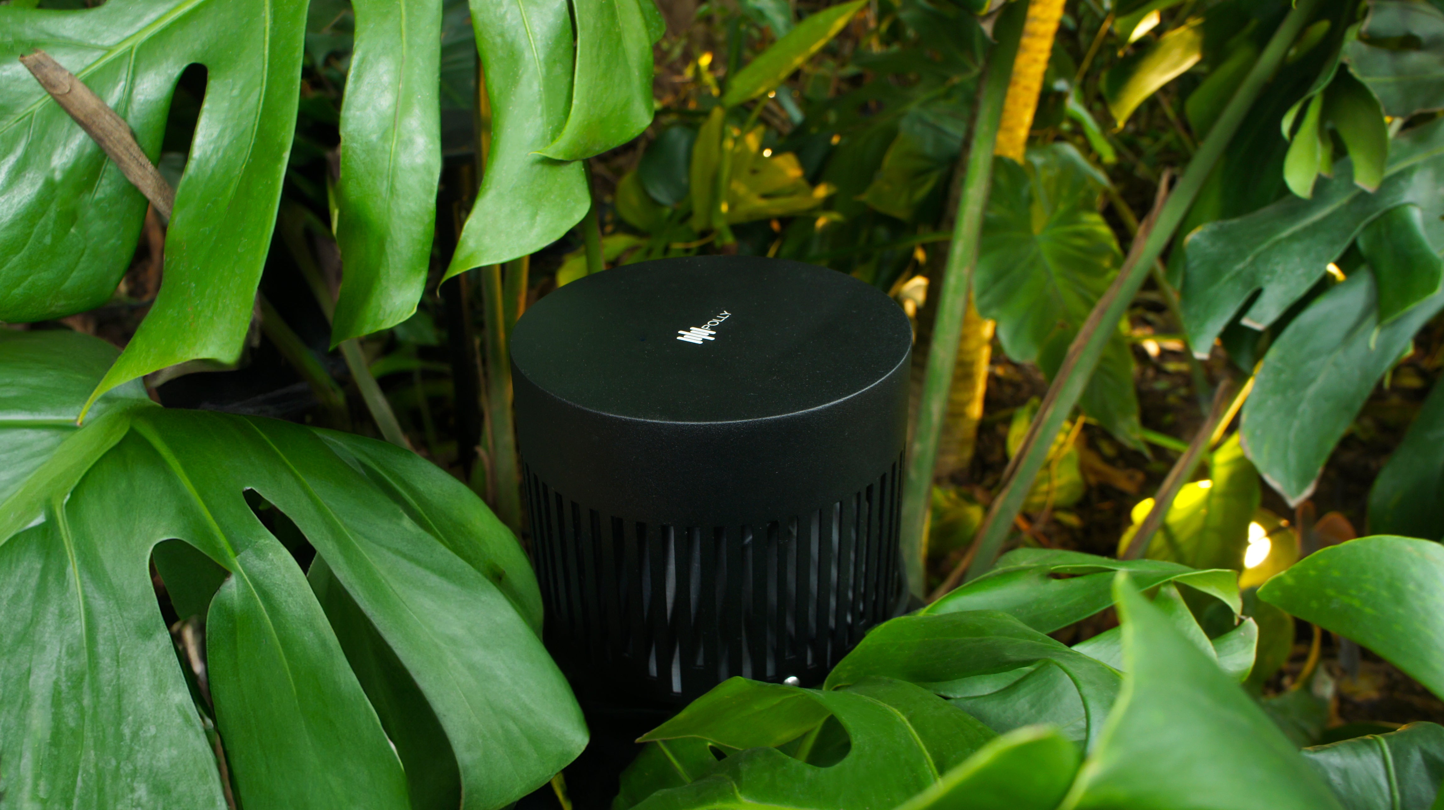 Magna Audio Polly Sub 8
