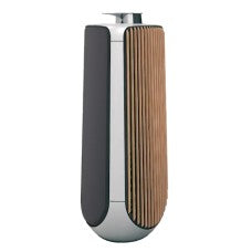 Bang & Olufsen BeoLab 50