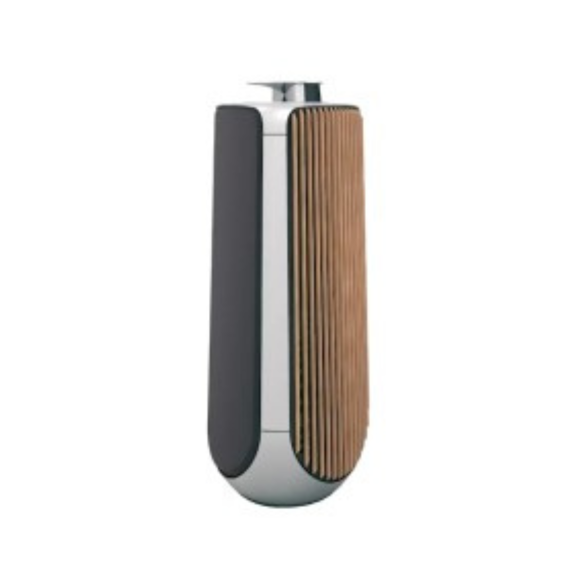 Bang & Olufsen BeoLab 50