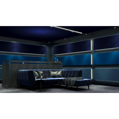 Cinema Interior - Vancouver