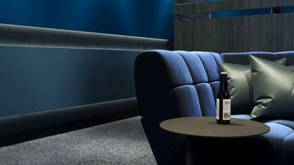 Cinema Interior - Vancouver