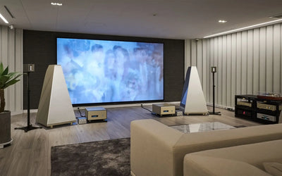 Screen Innovations Ecran Proiector PW AT