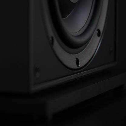 Leon Aaros A10‑UT Subwoofer