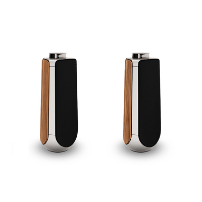 Bang & Olufsen BeoLab 50
