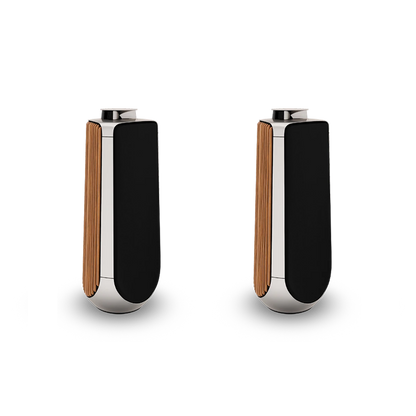 Bang & Olufsen BeoLab 50