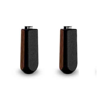 Bang & Olufsen BeoLab 50