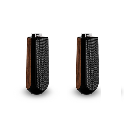 Bang & Olufsen BeoLab 50