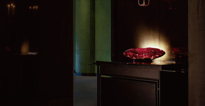 Moorgen Dreame Series