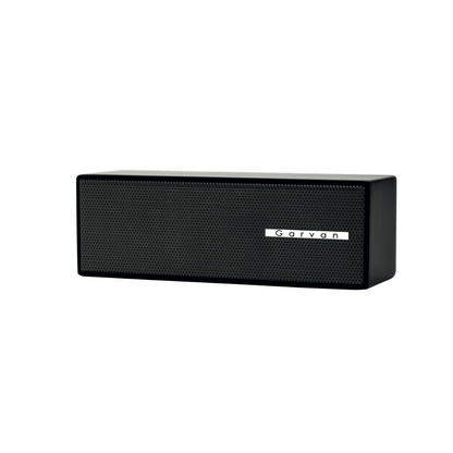 Garvan Acoustic SA203 Micro Loudspeaker