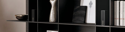 Garvan Acoustic SA203 Micro Loudspeaker