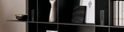 Garvan Acoustic SA203 Micro Loudspeaker