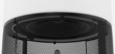 Garvan Acoustic SN120 Outdoor Speaker