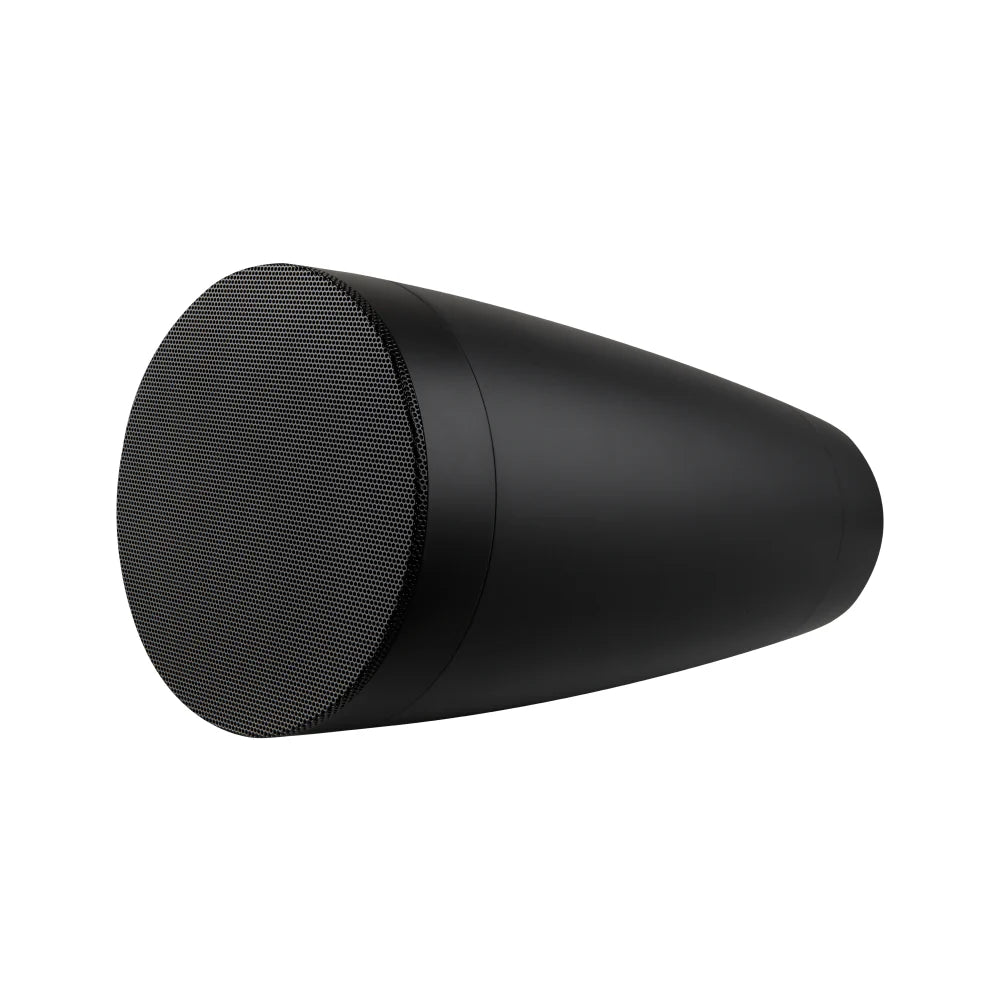 Sonance Professional PS-P43T
