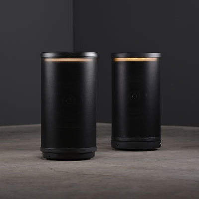 Leon Terra LuminSound TrLS50 Outdoor Speaker (Halo/No Halo)